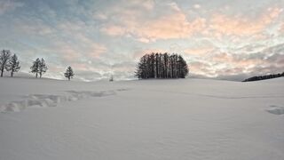 Winter Coat - timelapse over a field and trees in winter | Trending HD Video