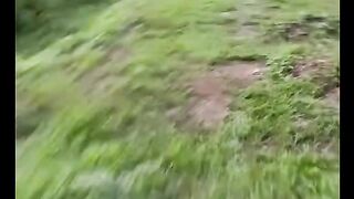 Elephant Funny lapettt hihihi+