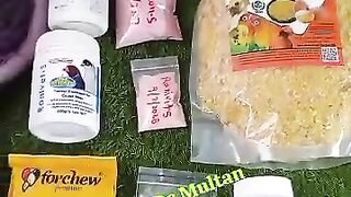 Yt medicine