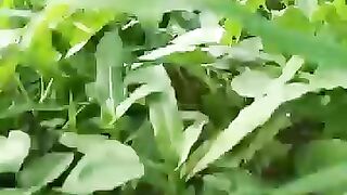 Village style and my channel