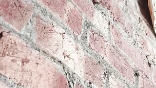 Viral shorts viral shorts