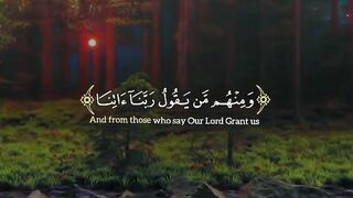 Tilawat e Quran Majeed 14