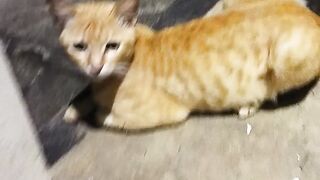 Entah apa yang di tunggu nya 2