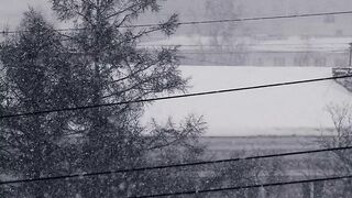 Winterhalter - snow blizzard | Trending HD Video