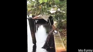 Funny Videos Part 38