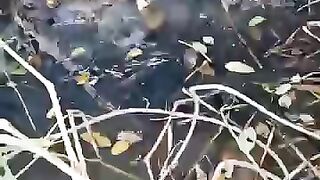 Looking for a fish or eel.. Thanks for watching..!! 28