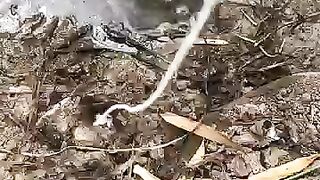 Looking for a fish or eel... Thanks for watching..!! 11