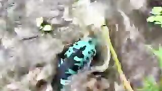 Looking for a fish or eel.. Thanks for watching..!! 30