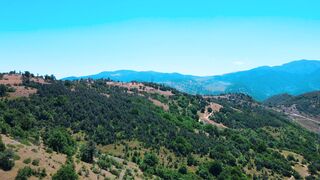 Travelon - id | Trending HD Video 37