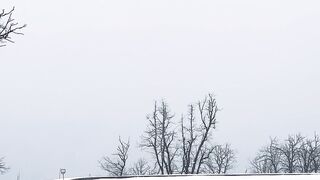Winter solstice - a snow covered pool | Trending HD Video