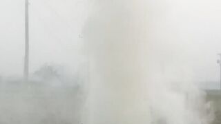 পরন্ত বিকেল