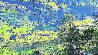 Scenery of Wonosobo Powder Well #panoramaalam #telagabedakah