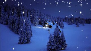 Winter Coat - id | Trending HD Video 41