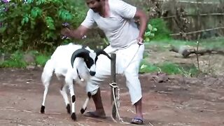 Funny scenes 3