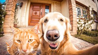 Funnyfuzzy - id | Trending HD Video 18