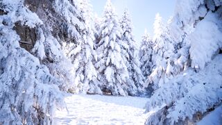 Winterhalter - id | Trending HD Video 48