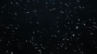Winter Coat - id | Trending HD Video 42