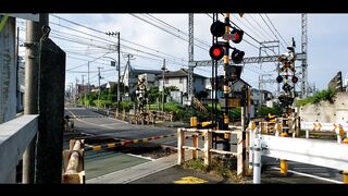 Travelon - id | Trending HD Video 38