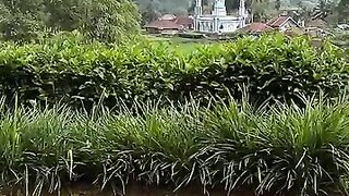 Beautiful village, a place where longing always comes home ????