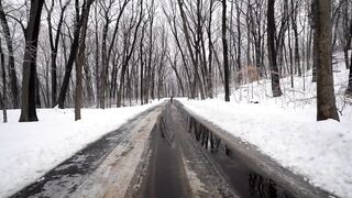 Winter solstice - wet road between a snow covered woods | Trending HD Video