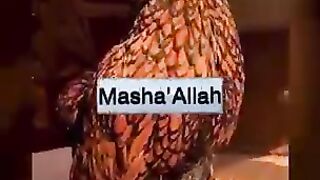 Yaqeen 7