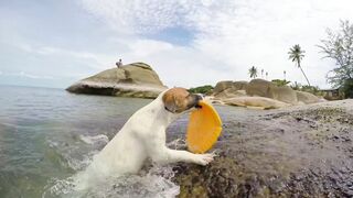 Funnyfuzzy - id | Trending HD Video 21