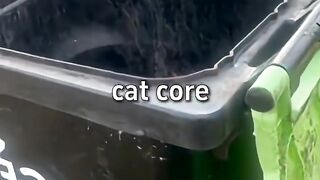 funny videos 450
