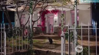 Hilos de Vida - Capitulo 4 _ Serie Turcas