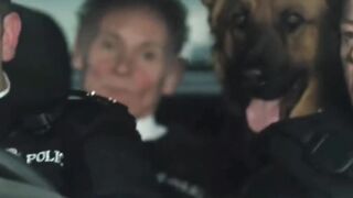 When it's still English but a translator is needed