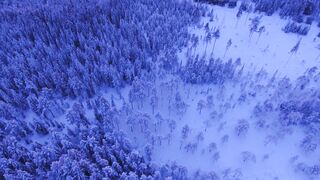 Winterhalter - aerial shot of forest during winter | Trending HD Video