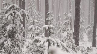 Snow boot - id | Trending HD Video 27