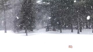 Winter solstice - heavy snowfall covering the flat surfaces on the ground | Trending HD Video