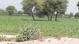 India ka kheti by road