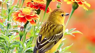 The scenery beautiful 2