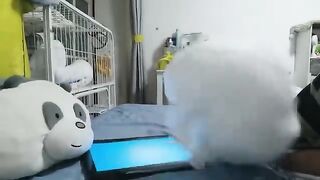 Funny Videos Part 42