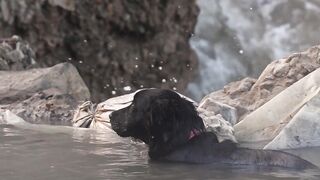 Funny Gift Ideas - hot spring hot dog | Trending HD Video