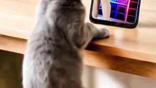 Caty dance performance with music koplo