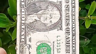 One dollar American currency