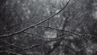 Winter solstice - rainy day on a snow background | Trending HD Video