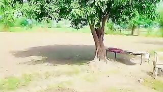 Punjab simple village