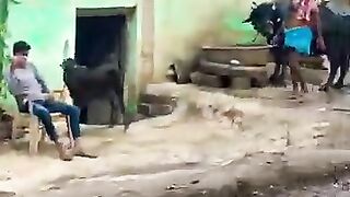 Nawada bihar village