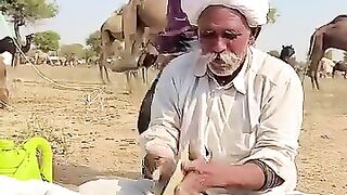 Desi food rajhasthaani style
