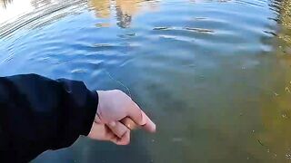 Not the Bait… But the Strength of My Heart