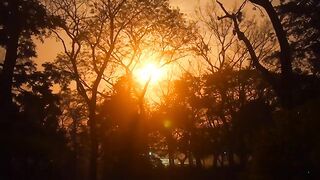 "May this golden light of sunrise bring unending happiness and peace into your life. May this morning of love be spent with much joy."