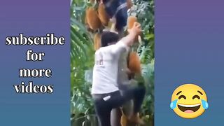 Funny Videos Part 44