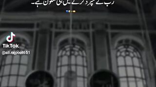 True Words 12