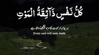 “A recitation that brings peace to the soul…” ✨  "Aisi tilawat jo rooh ko sukoon de…"
