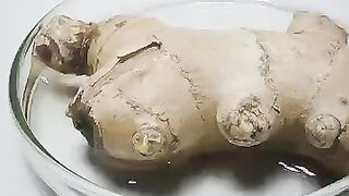 500 Days in 1 minute. Ginger, Kiwi and Carro
