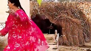 Pakistani girl tiktok viral video