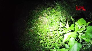 ENTER THE JIN VILLAGE AND SWEEP THE WEWE GOMBEL FOREST